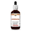 Version 1.0.0 Tintura natural Echinacea Hawaii Pharm botella frontal