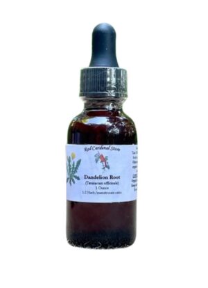Tintura raíz diente de león extracto líquido orgánico