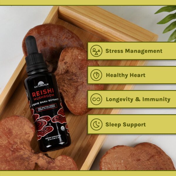 Version 1.0.0 Tintura de reishi rica en beta-glucanos y triterpenos para salud