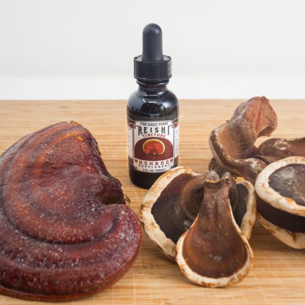 Version 1.0.0 Tintura Reishi Far West Fungi en botella de vidrio ámbar