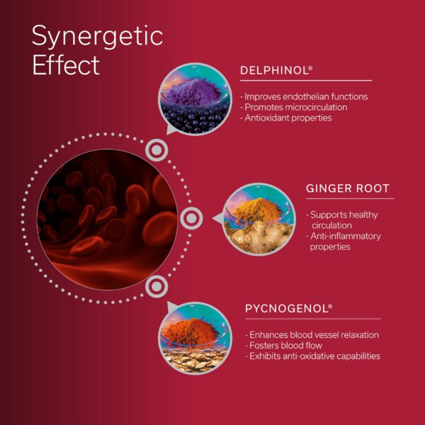 Caja TravelSana de porciones