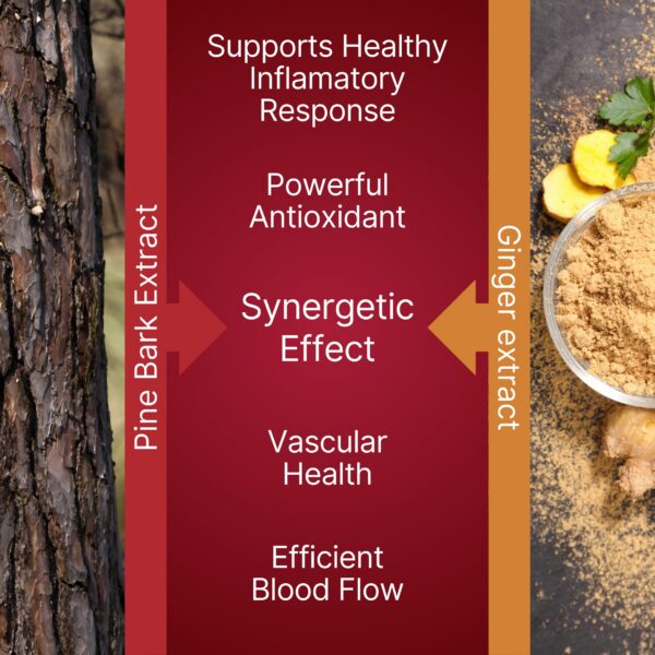 Version 1.0.0 Caja de TravelSana Long-Haul Circulation (lateral)