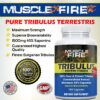 Calidad premium Tribulus terrestris Búlgaro certificado GMP