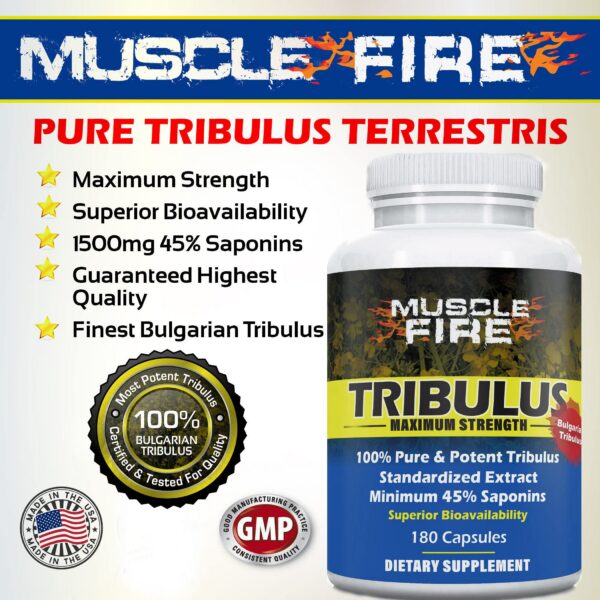 Calidad premium Tribulus terrestris Búlgaro certificado GMP
