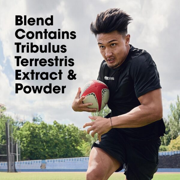 Tribulus terrestris suplemento natural testosterona 100 cápsulas