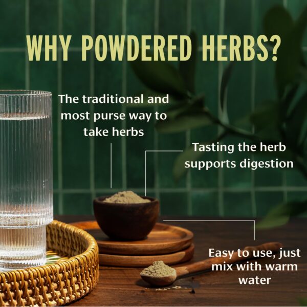 Version 1.0.0 Triphala polvo ayurvédico para microbioma intestinal saludable