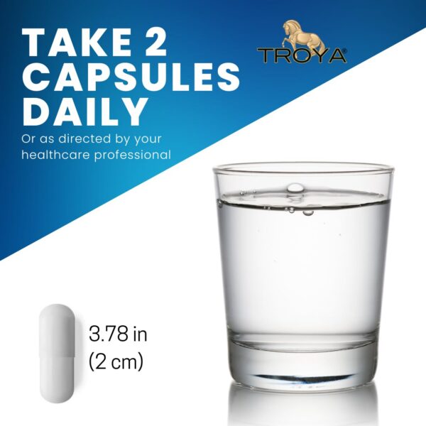 Version 1.0.0 Frasco de Troya Triple Magnesium Complex 90 cápsulas