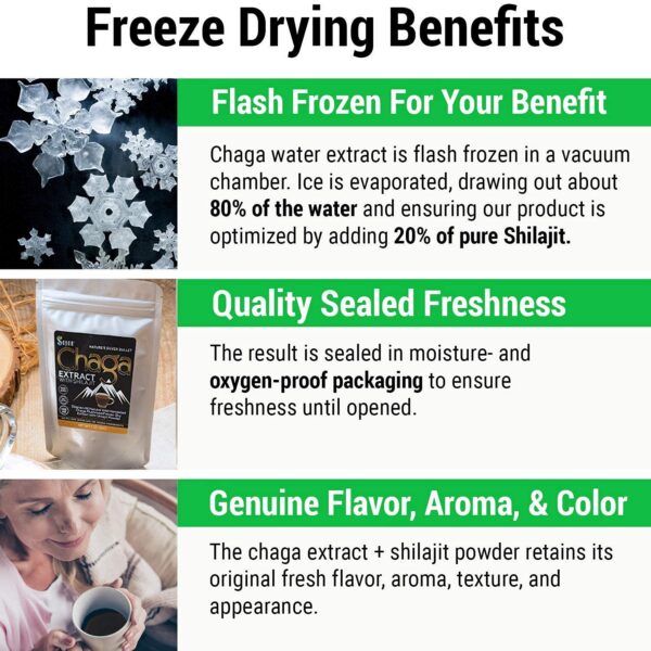 Version 1.0.0 Trozos crudos de hongo Chaga siberiano para té y polvo