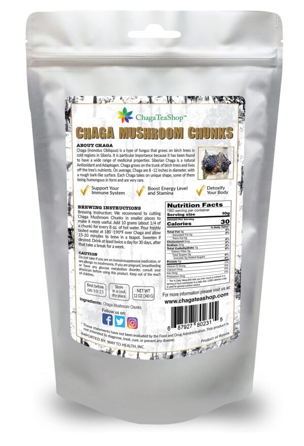 Version 1.0.0 Trozos de hongos chaga cosechados silvestres naturales