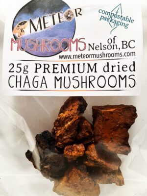 Trozos secos de hongo Chaga Meteor Mushrooms