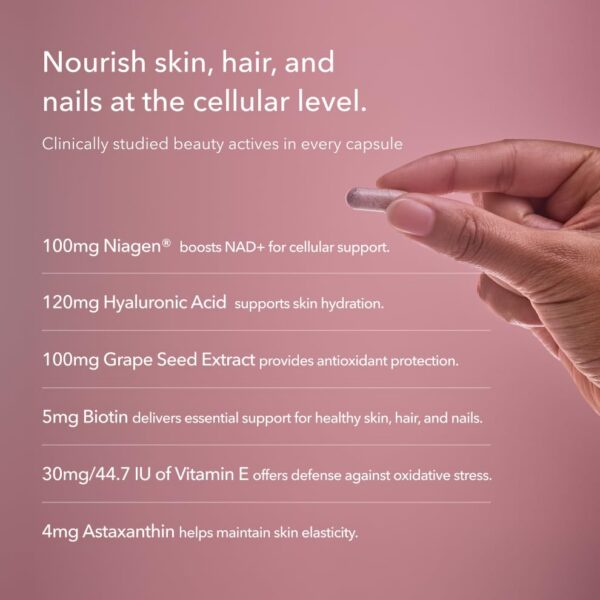 Version 1.0.0 Imagen de ingredientes incluidos