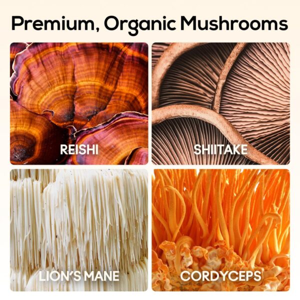TrueMushroom extrae hongos orgánicos para salud y enfoque
