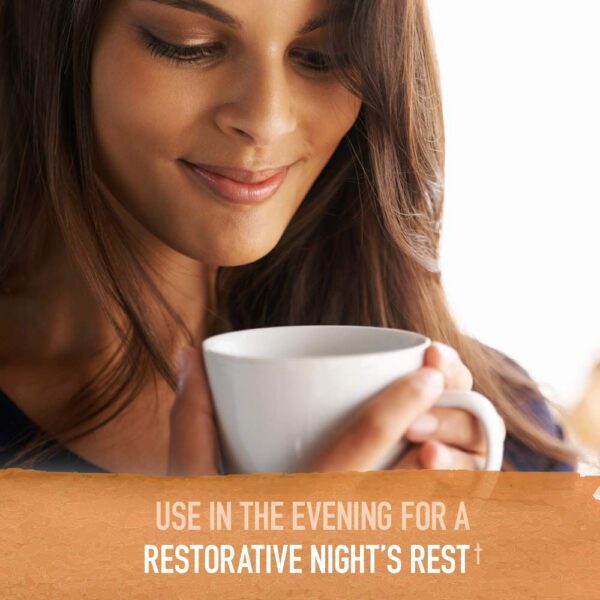 Version 1.0.0 Turmeric Booster con curcumina y jengibre fermentado