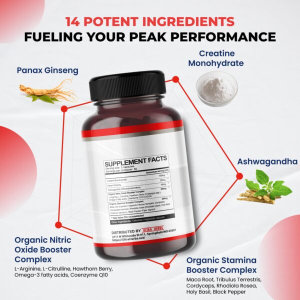 Version 1.0.0 Cápsulas de creatina monohidratada en frasco