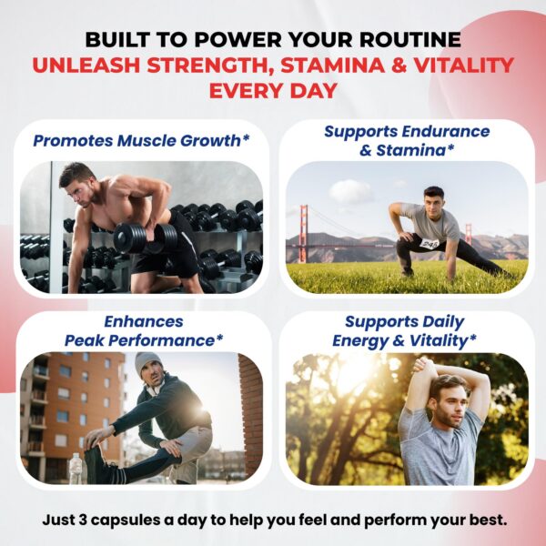 Version 1.0.0 Etiqueta trasera con información del producto