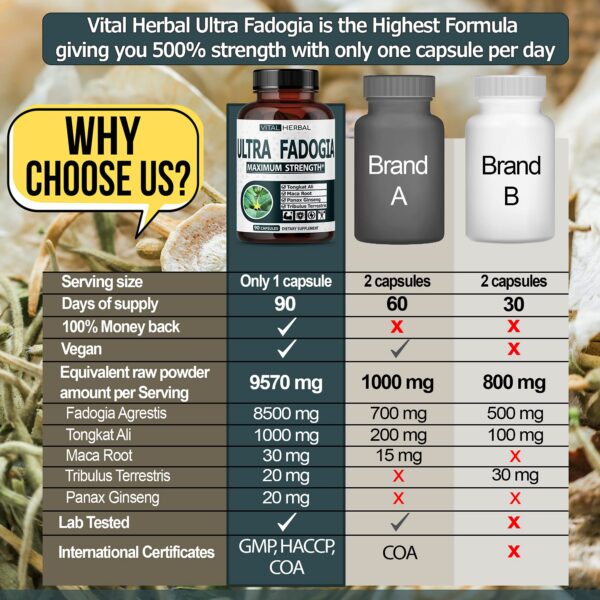 Ultra Vital Herbal suplemento natural planta medicinal cápsulas