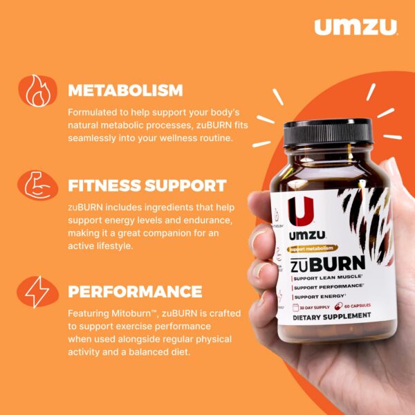 Version 1.0.0 ZuBurn cápsulas en blister