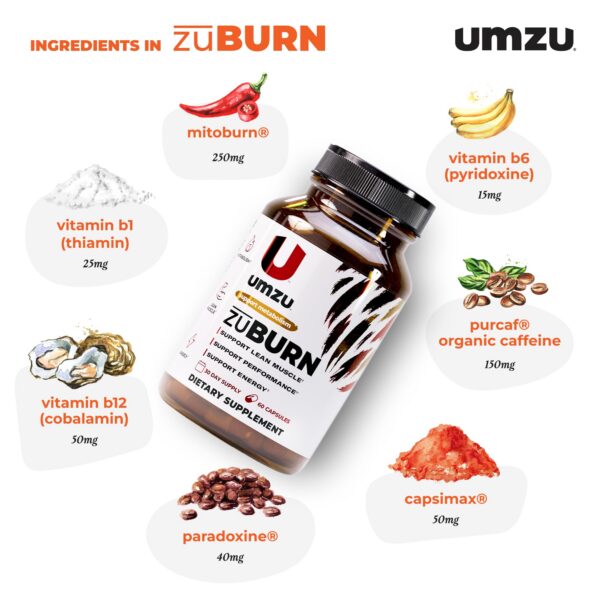 Version 1.0.0 Etiqueta de ingredientes ZuBurn