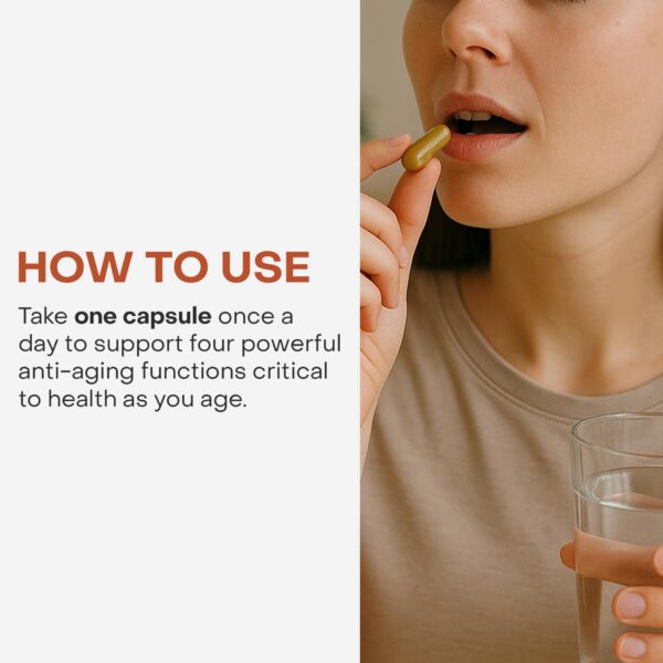 Extracto Uncaria tomentosa AC-11