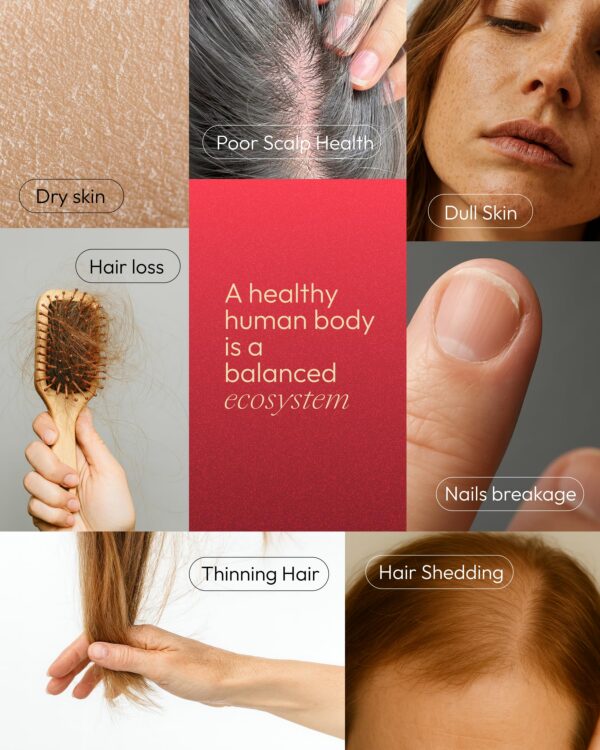 Etiqueta y sabor wildberry de Upbe gomitas