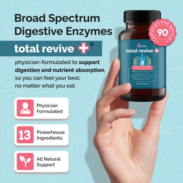 Ingredientes clave de enzimas digestivas