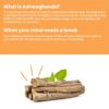Wellness-Tree-parche-sueño-natural-duradero