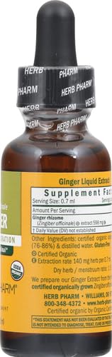 Uso recomendado extracto de jengibre líquido orgánico