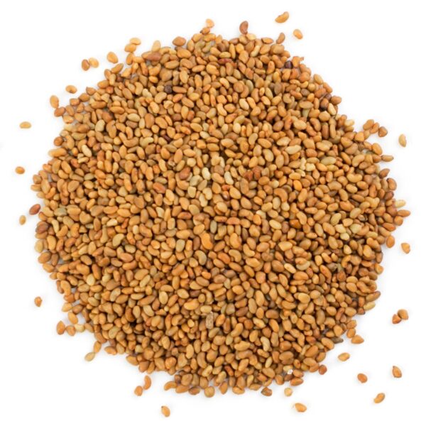 Uso de Semillas Orgánicas de Alfalfa en ensaladas