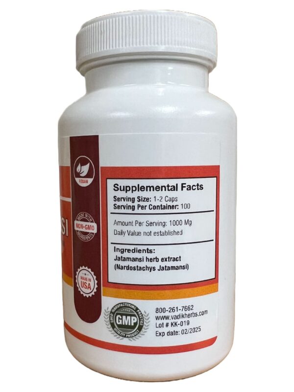 Cápsulas vegetales Vadik Herbs en caja