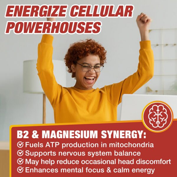 Vista general del producto