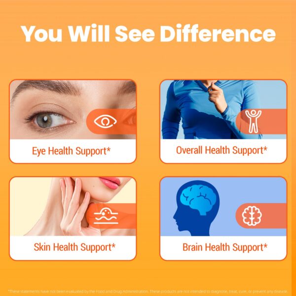 Suplemento de vitamina B1 Benfotiamina sin gluten VANI