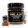Version 1.0.0 Varipeak gomitas orgánicas shilajit himalaya 90 unidades