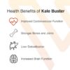 Cápsulas Kale Buster apiladas
