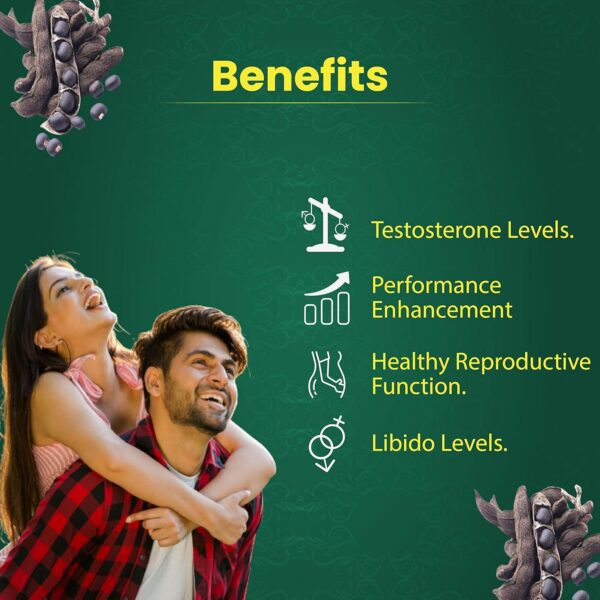 Kaunch Beej polvo pack de 3