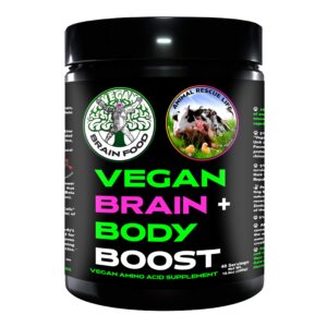 Frasco de Vegan Brain Food polvo 300 g frente
