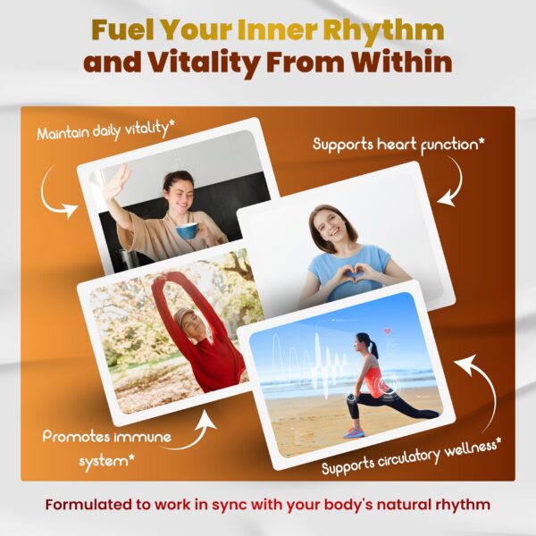 Version 1.0.0 Frasco y cápsulas del producto