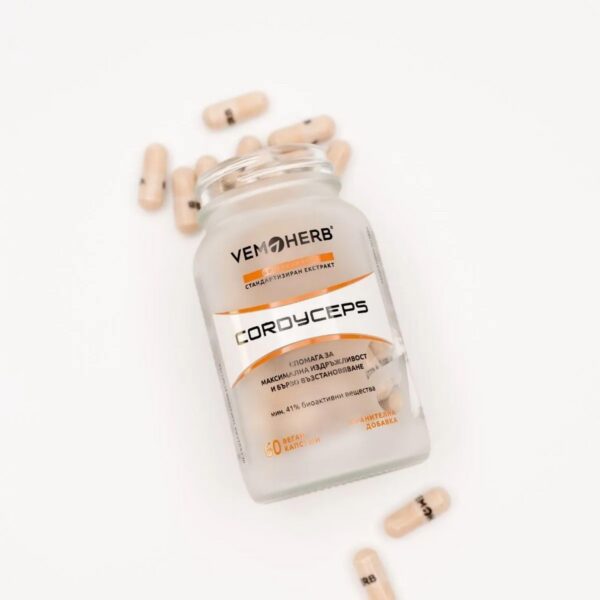 VemoHerb Cordyceps cápsulas ayuda a recuperación y resistencia