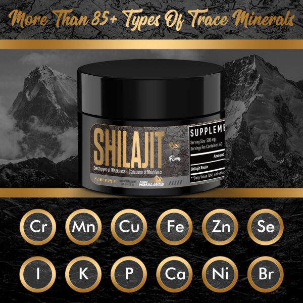 Version 1.0.0 Frasco de Shilajit VENESUILA