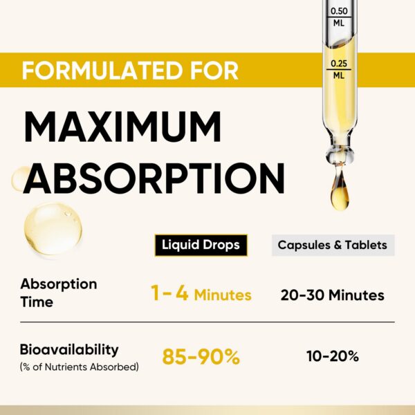 Venture Pal Complejo B líquido con vitaminas B metiladas