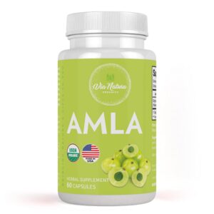 Via Natura Organics cápsulas Amla 1000mg 60 unidades