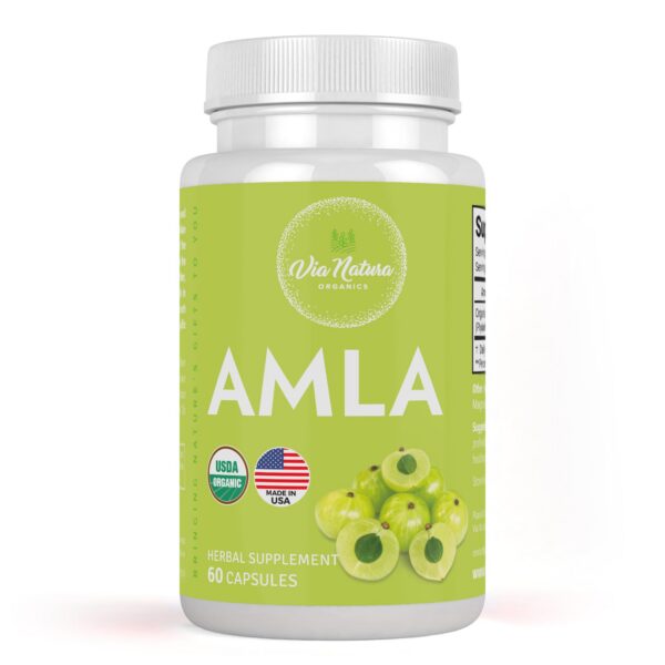 Via Natura Organics cápsulas Amla 1000mg 60 unidades
