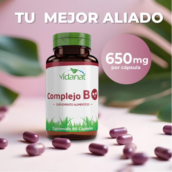 Version 1.0.0 Envase de vidrio con cápsulas