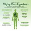 Mighty Maca Plus con polvo verde