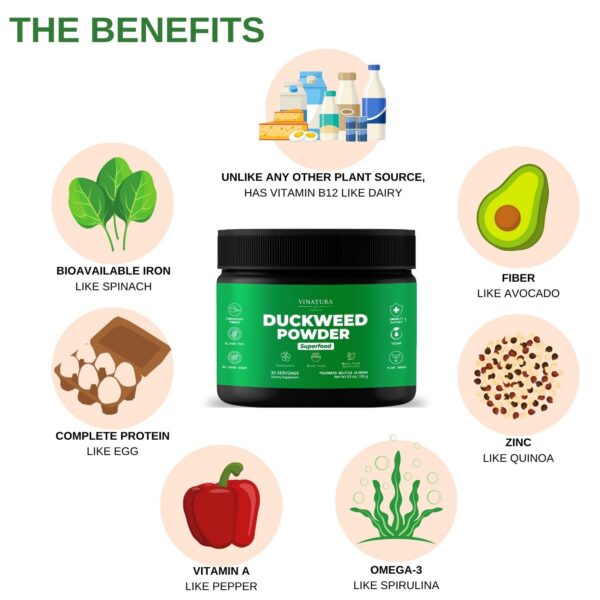 Cucharita con polvo verde Duckweed