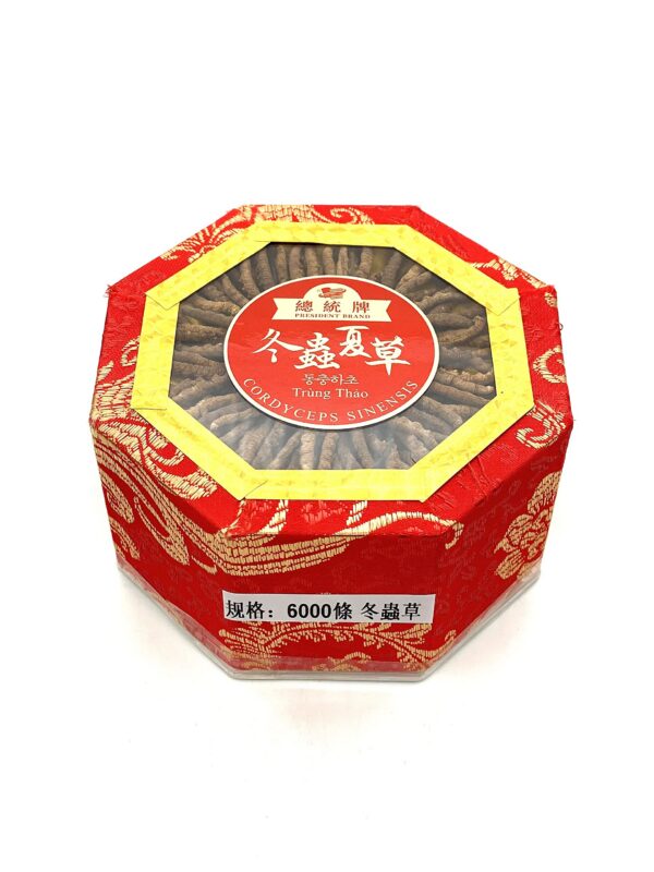 Vista cercana Cordyceps Sinensis silvestre Greenlike 0.5oz