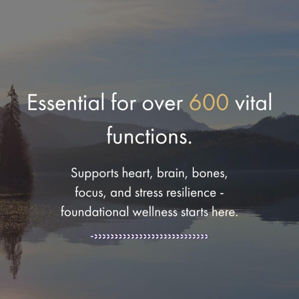 Version 1.0.0 Vista del envase en fondo claro