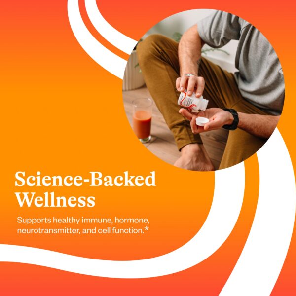 Version 1.0.0 Vista lateral de la botella