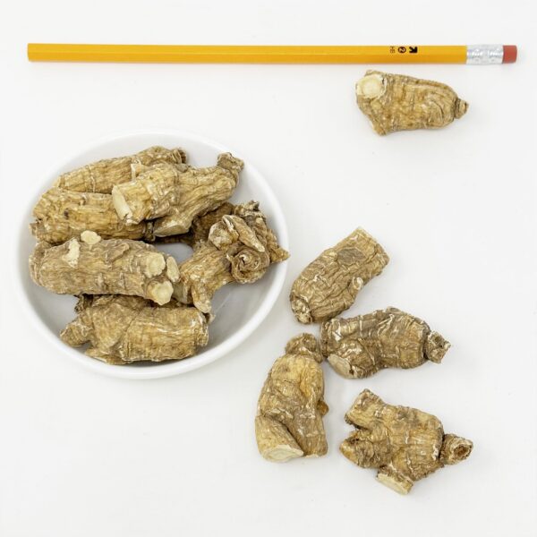 Vista lateral empaque Ginseng Wisconsin DABC OAK LAND