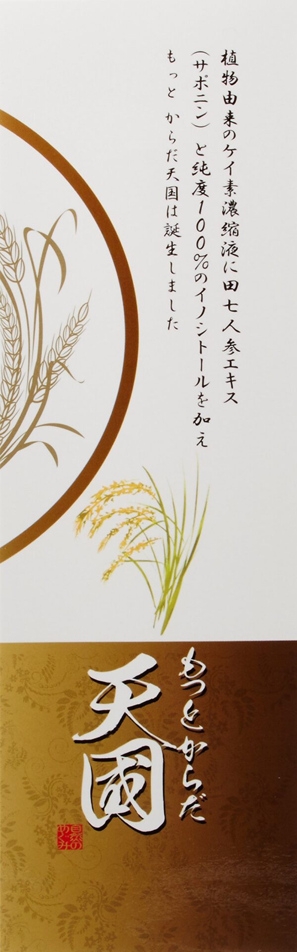 Version 1.0.0 Vista lateral del envase