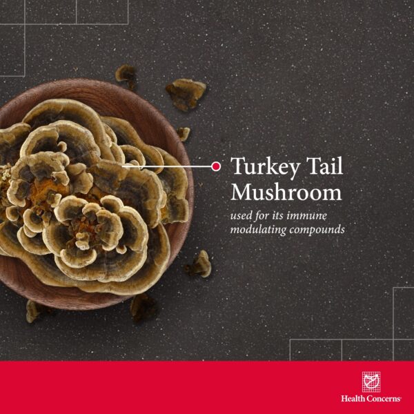 Version 1.0.0 Vista lateral del frasco suplemento Health Concerns Coriolus PS